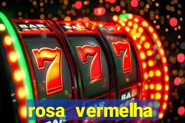 rosa vermelha (letra e cifra)